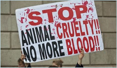 Portia de Rossi - Animal Rights Activist